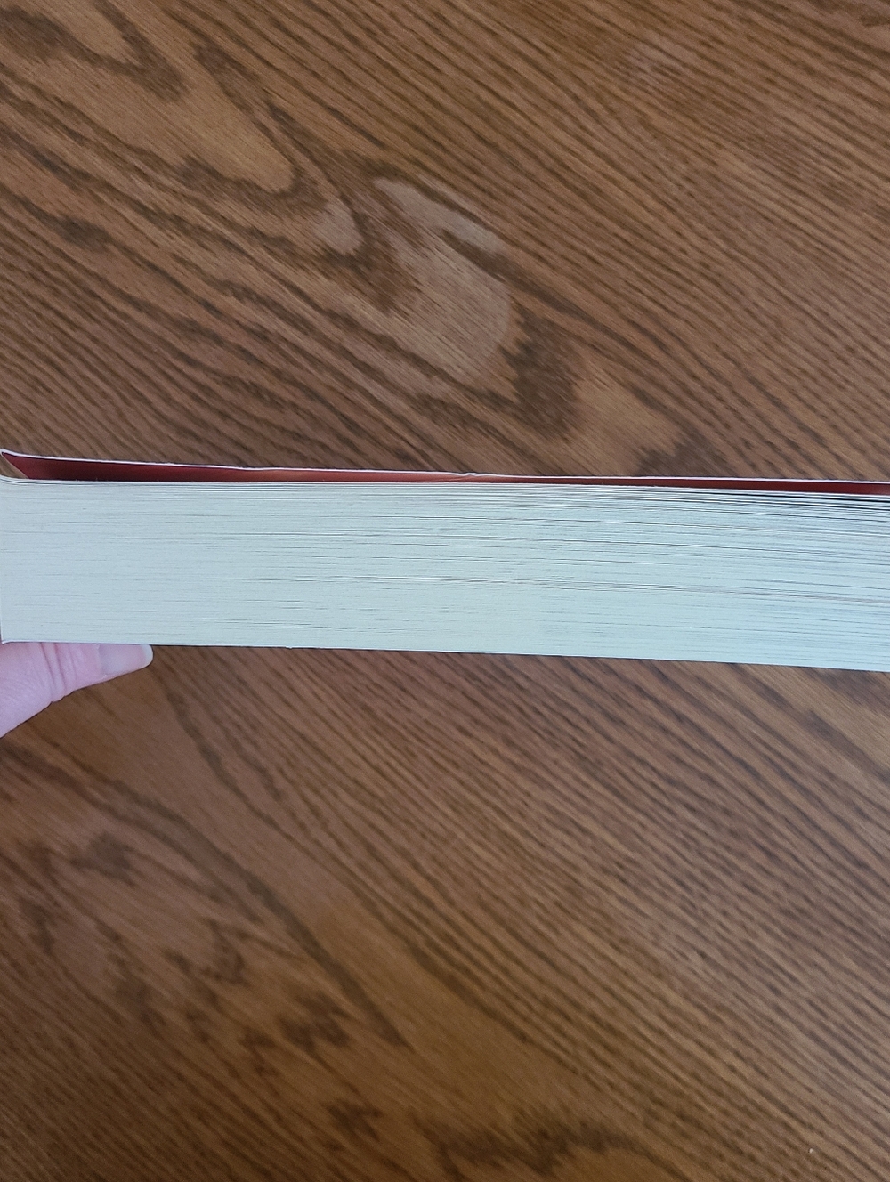 Reign the Earth Book by A.C. Gaughen - Picture 6 of 12